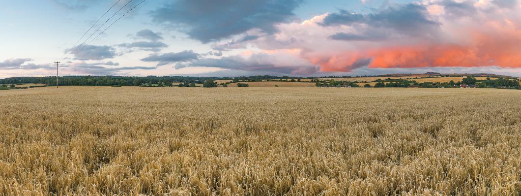 Welcome to Sixpenny Handley and Pentridge Parish Council